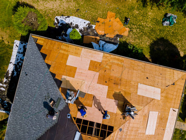 Quick and Trustworthy Emergency Roof Repair Services in Alliance, NE